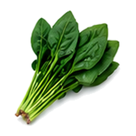 ほうれん草